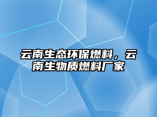 云南生態(tài)環(huán)保燃料，云南生物質(zhì)燃料廠家