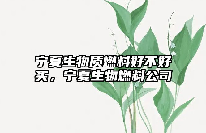 寧夏生物質(zhì)燃料好不好買，寧夏生物燃料公司