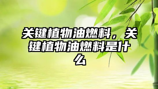 關(guān)鍵植物油燃料，關(guān)鍵植物油燃料是什么