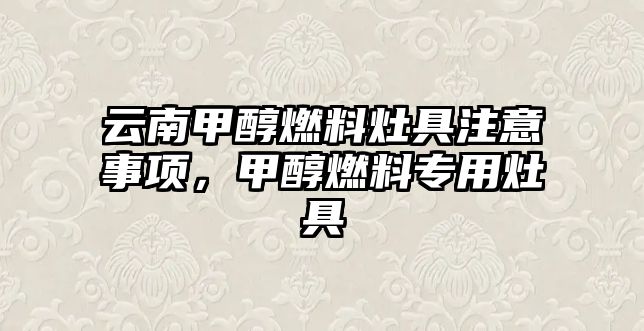 云南甲醇燃料灶具注意事項，甲醇燃料專用灶具