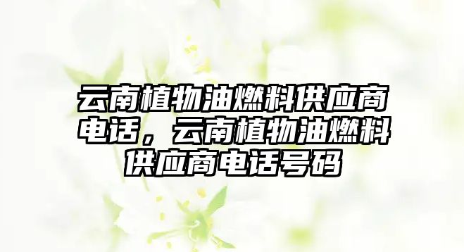 云南植物油燃料供應(yīng)商電話，云南植物油燃料供應(yīng)商電話號(hào)碼