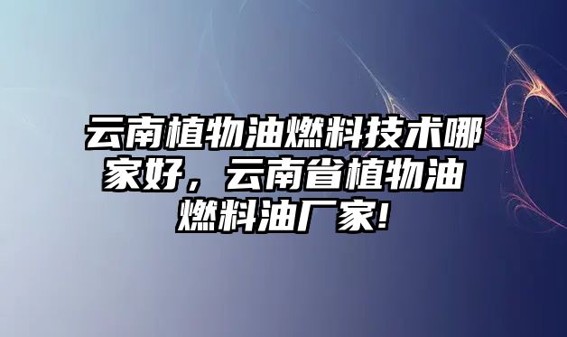 云南植物油燃料技術(shù)哪家好，云南省植物油燃料油廠家!