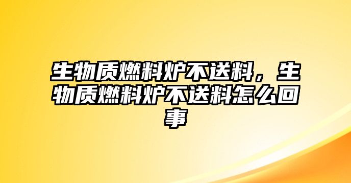 生物質(zhì)燃料爐不送料，生物質(zhì)燃料爐不送料怎么回事