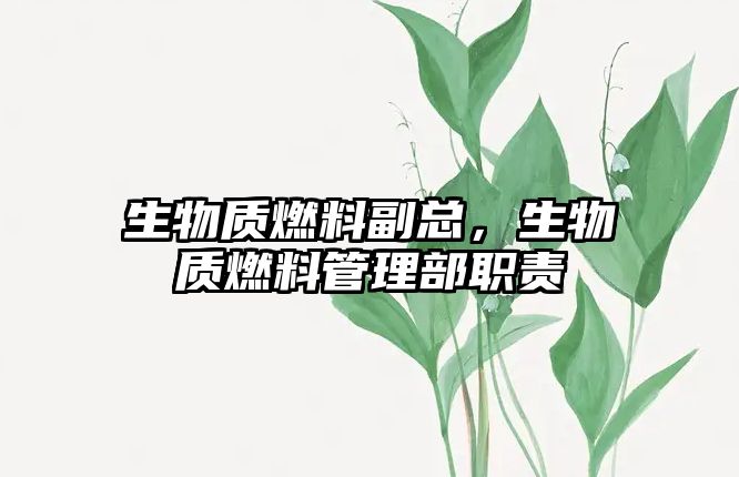 生物質(zhì)燃料副總，生物質(zhì)燃料管理部職責