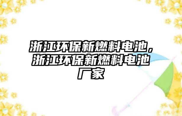 浙江環(huán)保新燃料電池，浙江環(huán)保新燃料電池廠家