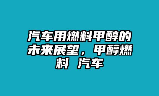 汽車用燃料甲醇的未來展望，甲醇燃料 汽車