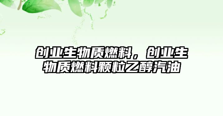 創(chuàng)業(yè)生物質(zhì)燃料，創(chuàng)業(yè)生物質(zhì)燃料顆粒乙醇汽油