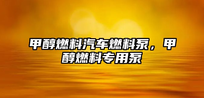 甲醇燃料汽車燃料泵，甲醇燃料專用泵