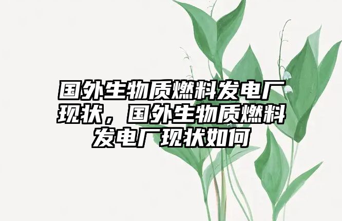 國外生物質(zhì)燃料發(fā)電廠現(xiàn)狀，國外生物質(zhì)燃料發(fā)電廠現(xiàn)狀如何