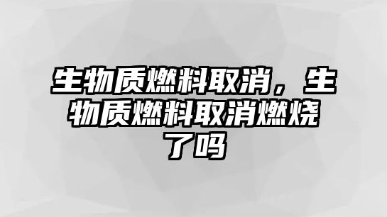 生物質(zhì)燃料取消，生物質(zhì)燃料取消燃燒了嗎