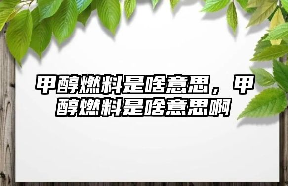 甲醇燃料是啥意思，甲醇燃料是啥意思啊