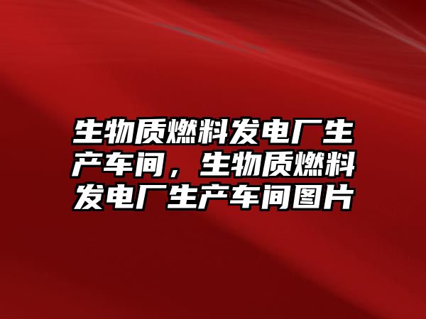 生物質燃料發(fā)電廠生產車間，生物質燃料發(fā)電廠生產車間圖片