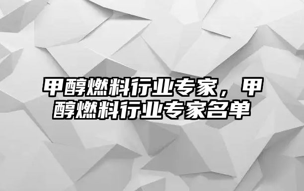 甲醇燃料行業(yè)專家，甲醇燃料行業(yè)專家名單