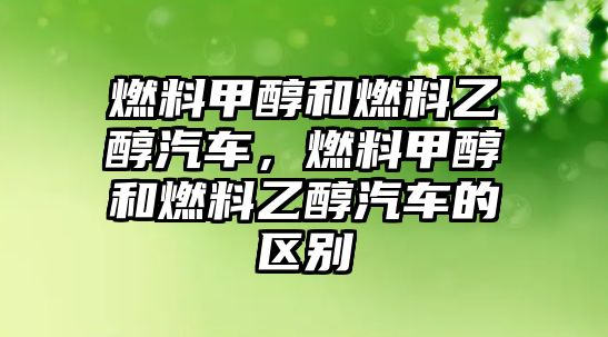 燃料甲醇和燃料乙醇汽車，燃料甲醇和燃料乙醇汽車的區(qū)別