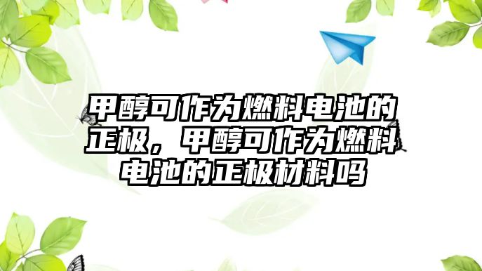 甲醇可作為燃料電池的正極，甲醇可作為燃料電池的正極材料嗎