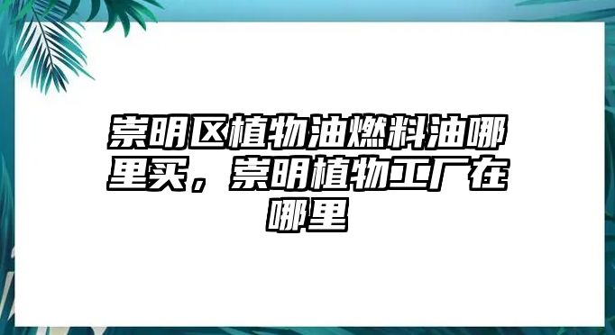 崇明區(qū)植物油燃料油哪里買，崇明植物工廠在哪里