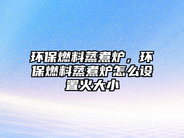 環(huán)保燃料蒸煮爐，環(huán)保燃料蒸煮爐怎么設置火大小