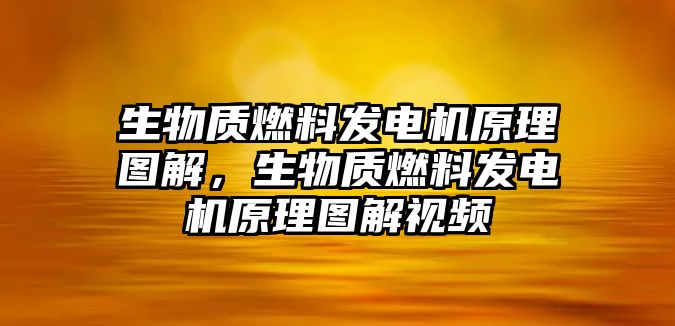 生物質(zhì)燃料發(fā)電機(jī)原理圖解，生物質(zhì)燃料發(fā)電機(jī)原理圖解視頻