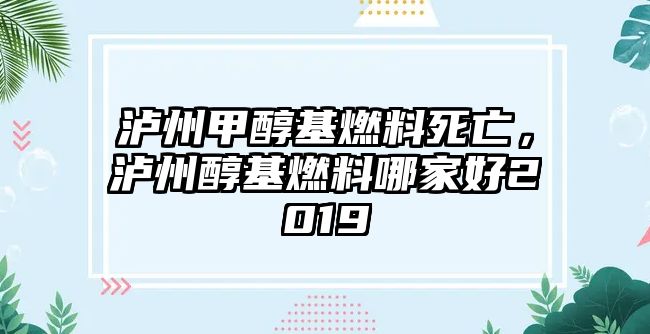 瀘州甲醇基燃料死亡，瀘州醇基燃料哪家好2019