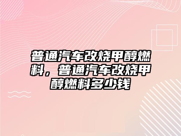 普通汽車改燒甲醇燃料，普通汽車改燒甲醇燃料多少錢