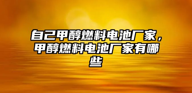 自己甲醇燃料電池廠家，甲醇燃料電池廠家有哪些