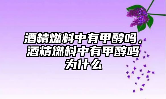 酒精燃料中有甲醇嗎，酒精燃料中有甲醇嗎為什么