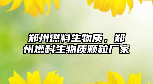 鄭州燃料生物質(zhì)，鄭州燃料生物質(zhì)顆粒廠家