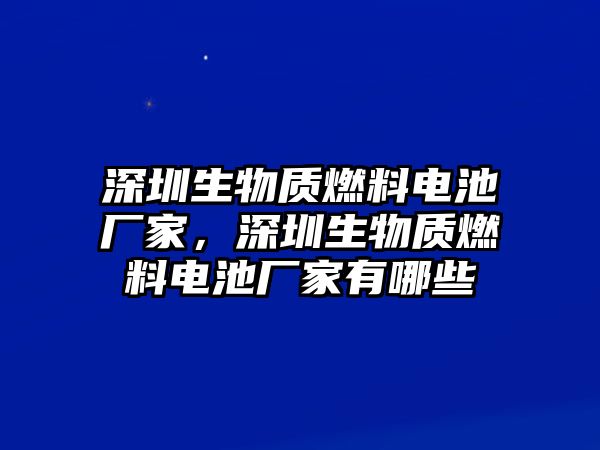 深圳生物質(zhì)燃料電池廠家，深圳生物質(zhì)燃料電池廠家有哪些