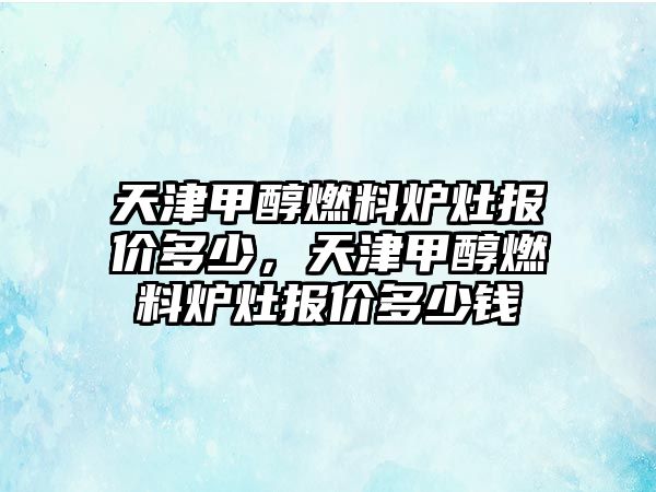 天津甲醇燃料爐灶報價多少，天津甲醇燃料爐灶報價多少錢