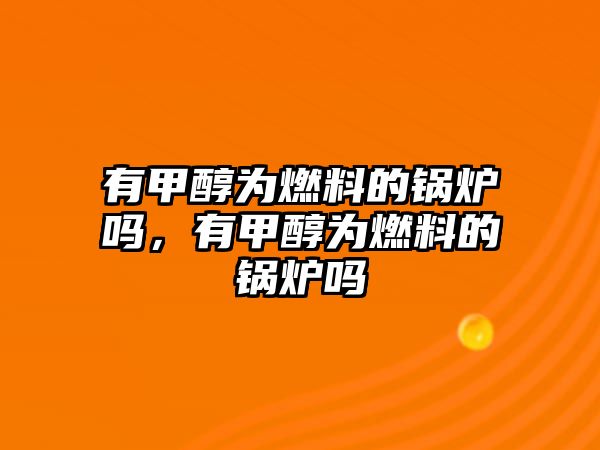 有甲醇為燃料的鍋爐嗎，有甲醇為燃料的鍋爐嗎