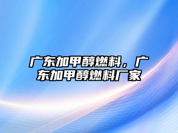 廣東加甲醇燃料，廣東加甲醇燃料廠家