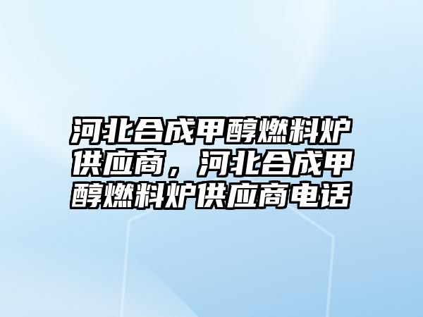 河北合成甲醇燃料爐供應商，河北合成甲醇燃料爐供應商電話