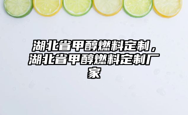 湖北省甲醇燃料定制，湖北省甲醇燃料定制廠家