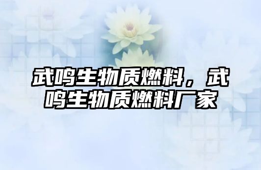 武鳴生物質(zhì)燃料，武鳴生物質(zhì)燃料廠家