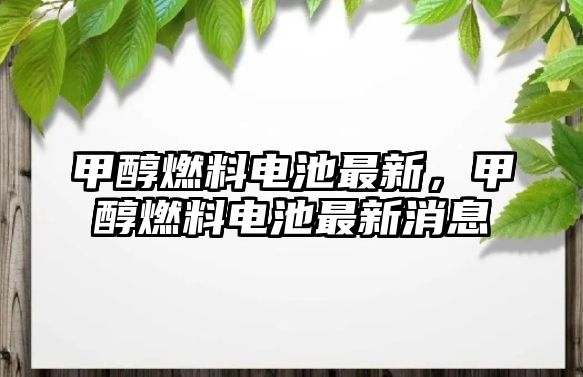 甲醇燃料電池最新，甲醇燃料電池最新消息