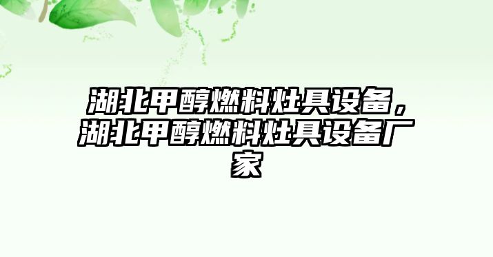 湖北甲醇燃料灶具設(shè)備，湖北甲醇燃料灶具設(shè)備廠家