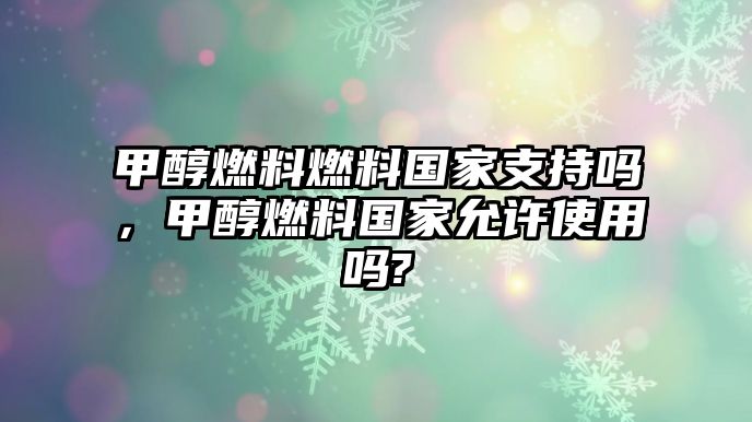 甲醇燃料燃料國家支持嗎，甲醇燃料國家允許使用嗎?