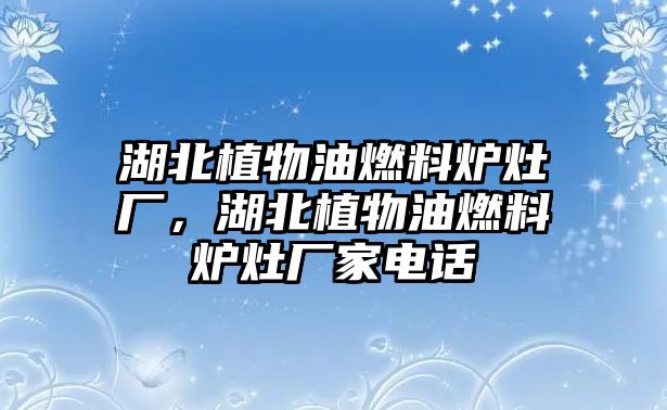 湖北植物油燃料爐灶廠，湖北植物油燃料爐灶廠家電話