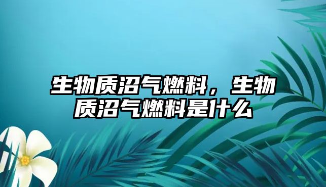 生物質(zhì)沼氣燃料，生物質(zhì)沼氣燃料是什么