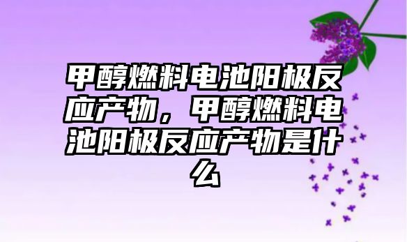 甲醇燃料電池陽極反應產物，甲醇燃料電池陽極反應產物是什么