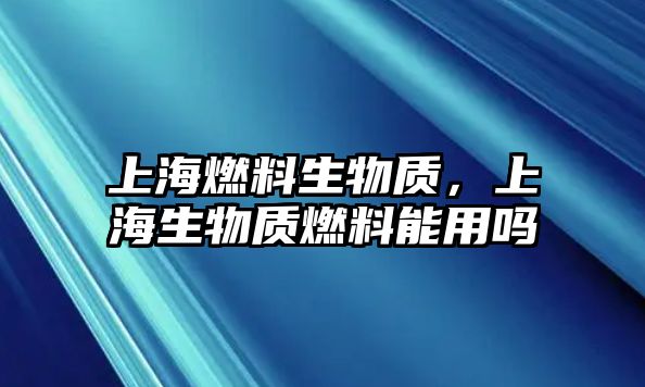 上海燃料生物質(zhì)，上海生物質(zhì)燃料能用嗎