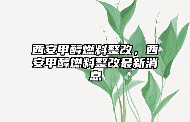 西安甲醇燃料整改，西安甲醇燃料整改最新消息