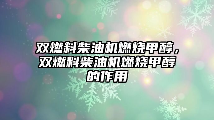 雙燃料柴油機(jī)燃燒甲醇，雙燃料柴油機(jī)燃燒甲醇的作用