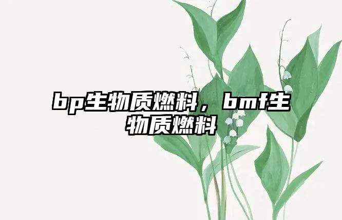 bp生物質(zhì)燃料，bmf生物質(zhì)燃料