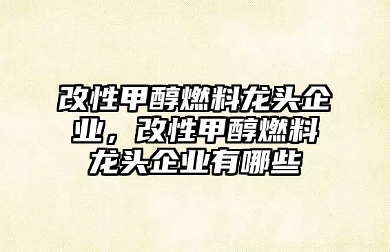 改性甲醇燃料龍頭企業(yè)，改性甲醇燃料龍頭企業(yè)有哪些