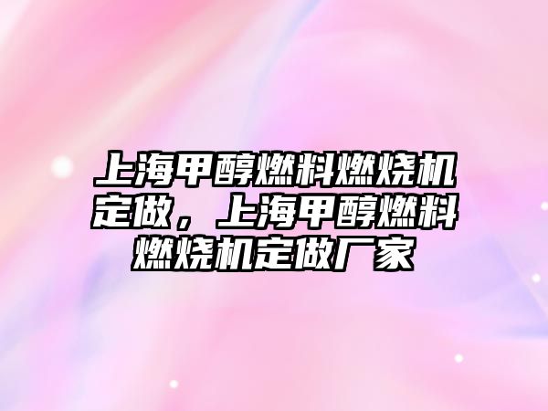 上海甲醇燃料燃燒機定做，上海甲醇燃料燃燒機定做廠家