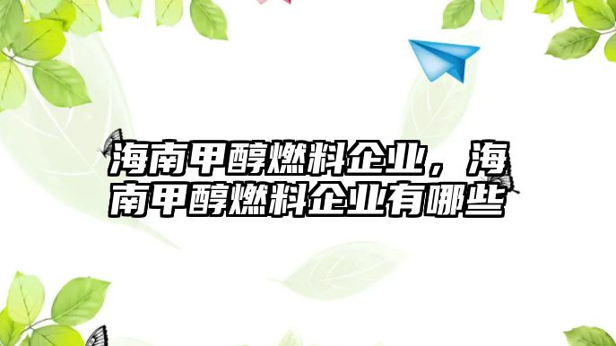 海南甲醇燃料企業(yè)，海南甲醇燃料企業(yè)有哪些