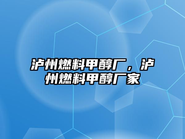 瀘州燃料甲醇廠，瀘州燃料甲醇廠家