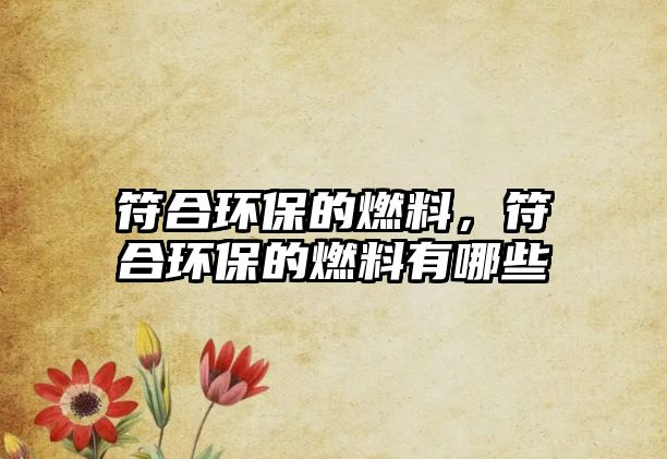 符合環(huán)保的燃料，符合環(huán)保的燃料有哪些