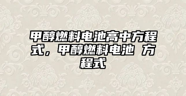 甲醇燃料電池高中方程式，甲醇燃料電池 方程式